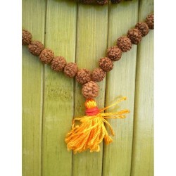 Mala tibétain en RUDRAKSHA 7mm orange simple