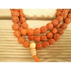 Mala tibétain en RUDRAKSHA 8-9mm