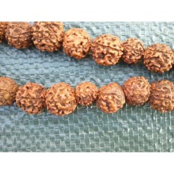 MALA TIBETAIN GRAINES DE RUDRAKSHA 14mm