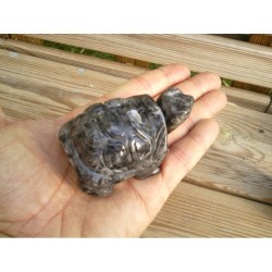 Tortue en Labradorite grise 7.6cm