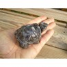 Tortue en Labradorite grise 7.6cm