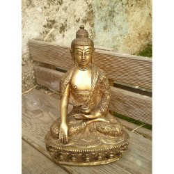 Statue de Bouddha  Shakyamuni 19cm