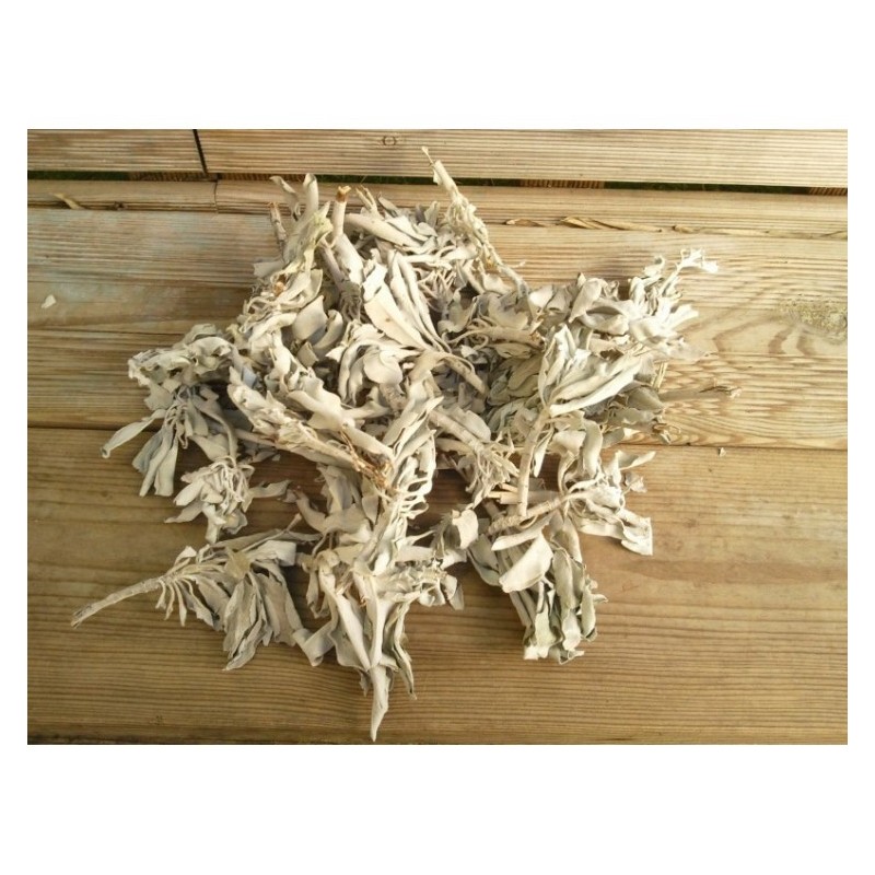 Encens en vrac 200grs Sauge blanche (Salvia Apiana)