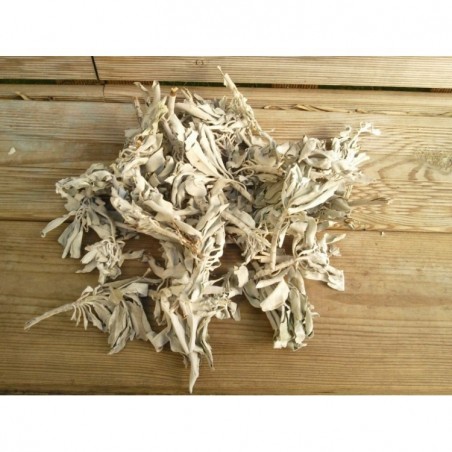 Encens en vrac 200grs Sauge blanche (Salvia Apiana)