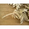 Encens en vrac 200grs Sauge blanche (Salvia Apiana)