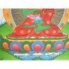 Thangka de Bouddha  Amoghasiddhi 80x50cm