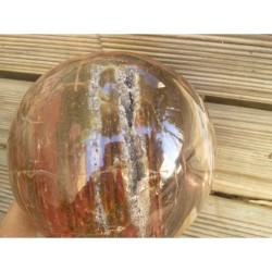 Sphère de Bois pétrifié ou fossilisé 9.2cm 1120grs