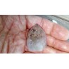 Pointe en Lodolite ou Quartz Chaman (Garden) 32.2mm 32grs