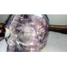 Crâne en Fluorite 1318grs 11.2cm