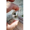 Lune en Lodolite ou Quartz Chamane (Garden) 45.4mm 36grs