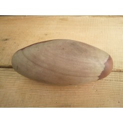 Shiva Linga ou Lingam Pierre sacrée