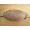 Shiva Linga ou Lingam Pierre sacrée