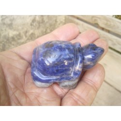 Tortue en Sodalite 5.1cm