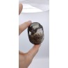 Galet en Quartz Chamane Lodolite 114grs 63.2mm