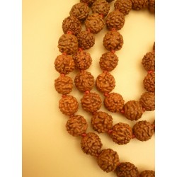 Mala tibétain en RUDRAKSHA 7mm Noeud rouge