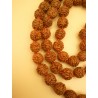 Mala tibétain en RUDRAKSHA 7mm Noeud rouge