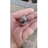 Sphère en Lodolite ou Quartz Chaman (Garden) 24.4mm 20grs