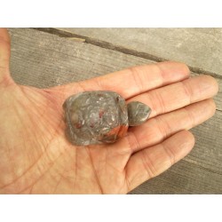 Tortue en Jaspe sanguin 5.2cm