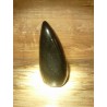 Obsidienne Oeil céleste forme libre 307grs