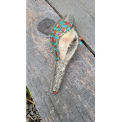 Conque ou Conche Tibétaine coquillage orné Turquoise 16cm