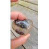 Coeur en Lodolite ou Quartz Chaman (Garden) 53mm 79grs