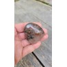 Coeur en Lodolite ou Quartz Chaman (Garden) 53mm 79grs