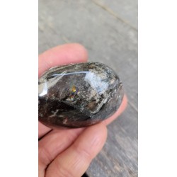 Galet en Quartz Chamane Lodolite 92grs 55mm