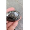 Galet en Quartz Chamane Lodolite 92grs 55mm