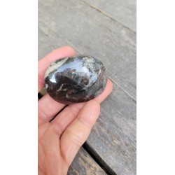 Galet en Quartz Chamane Lodolite 92grs 55mm