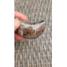 Lune en Lodolite ou Quartz Chaman (Garden) 57mm 73grs