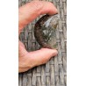 Lune en Lodolite ou Quartz Chaman (Garden) 57mm 73grs