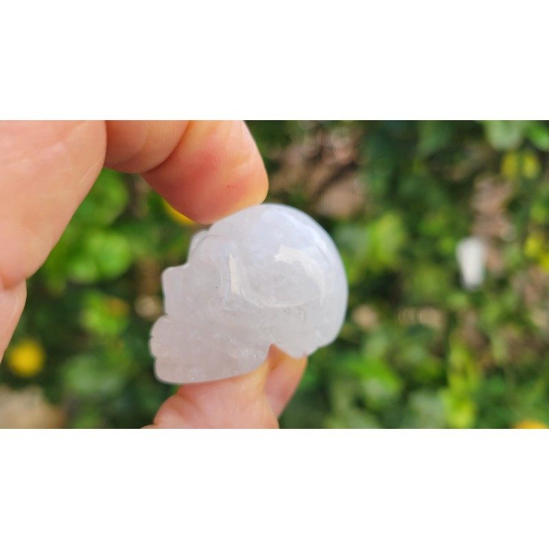 Crane de Cristal de quartz
