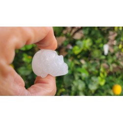 Crane de Cristal de quartz