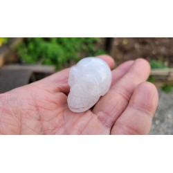 Crane de Cristal de quartz