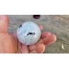 Sphère en Labradorite blanche ou Pierre de Lune 235grs 55mm