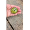 Galet Opale verte 72grs 51mm
