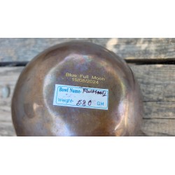 Bol  Tibétain 7 métaux Blue Full Moon 580grs
