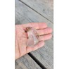 Lune en Lodolite ou Quartz Chamane (Garden) 51mm 50grs