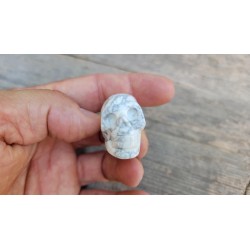 Crane en Howlite