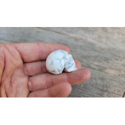Crane en Howlite