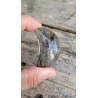 Lune en Lodolite ou Quartz Chaman (Garden) 50mm 41grs