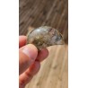 Lune en Lodolite ou Quartz Chaman (Garden) 50mm 41grs