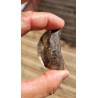Lune en Lodolite ou Quartz Chaman (Garden) 50mm 41grs
