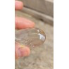 Cabochon Quartz rutile doré 22grs Cabochon Quartz rutile doré 22grs