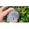 Crâne en Cristal Quartz Chamane (Lodolite) 204grs 6.9cm Crâne en Cristal Quartz Chamane (Lodolite) 204grs 6.9cm