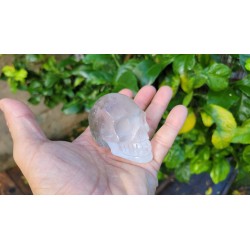 Crâne en Cristal Quartz Chamane (Lodolite) 204grs 6.9cm