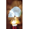 Crâne en Cristal Quartz Chamane (Lodolite) 204grs 6.9cm Crâne en Cristal Quartz Chamane (Lodolite) 204grs 6.9cm