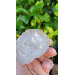 Crâne en Cristal de Roche 306grs 7.5cm