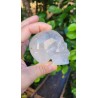 Crâne en Cristal de Roche 306grs 7.5cm Crâne en Cristal de Roche 306grs 7.5cm