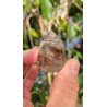 Pointe en Lodolite ou Quartz Jardin (Garden)